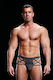 Envy Menswear Gray
