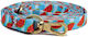 Habby Collar Dog Leash/Lead Strap Habby