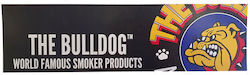 The Bulldog Amsterdam Rectangular Set of Magnets 1pcs