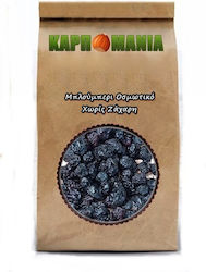 Karpomania Blueberries Χωρίς Ζάχαρη 150gr