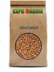 Karpomania Coriandru 100gr