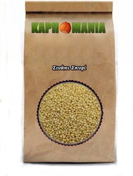 Karpomania Mustard Seed K- 11779 -a 250gr