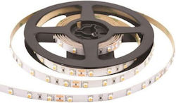 Adeleq LED Strip Power Supply 24V with Orange Light Length 5m and 60 LEDs per Meter SMD2835