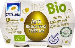CHrysa Ayga Organic 4 Pack 63-73G Large