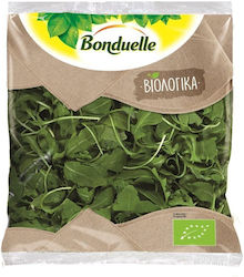 Organic Arugula Salad 125gr