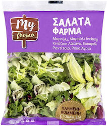 My Fresco Farm Salad Lettuce Cabbage Escarole Radicchio Rocket 200gr