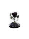 Eternal Rose Beauty Black 1pcs