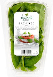 Greek Basil Box 25gr
