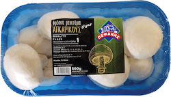 Μανιτάρια Φρέσκα Γίγας Εισαγωγής 500gr Μανιτάρια Φρέσκα Γίγας Εισαγωγής 500gr