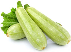 Organic Greek Zucchini Packaged (1 Pack / 1,1kg) Organic Greek Zucchini Packaged (1 Pack / 1,1kg)