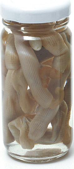 Grauvell Neutral Bait 100ml