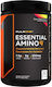 Rule1 Essential Amino 9 345гр Sour Watermelon