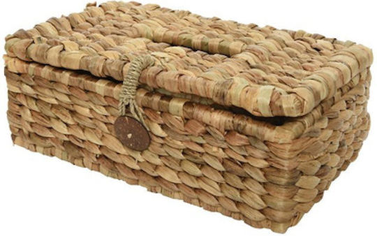 Wooden Tissue Holder Beige 28x16x11cm 825911