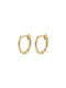 Pilgrim Earrings Hoops Gold Plated