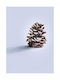 Walls Poster Pine Cone In The Snow 15x20cm