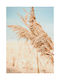 Walls Αφίσα Pampas Φυτά 15x20cm