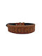 ByLeather Ошийник за куче Кожа в Кафяв цвят Small 60см