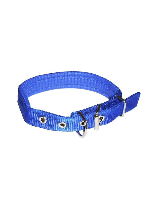 Dog Collar 38cm Blue