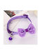 Hundehalsband in Lila Farbe 10mm