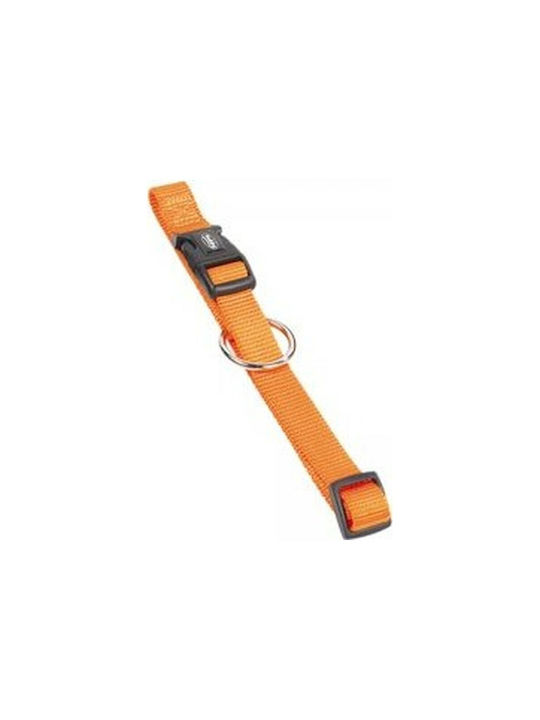 Nobby Dog Collar 10mm Orange