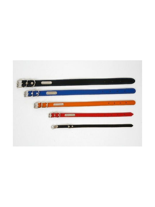 Ikaros Hundehalsband Leder 30mm x 55cm (Verschiedene Farben)