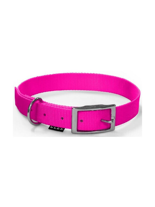 Glee Dog Collar in Pink color 88606