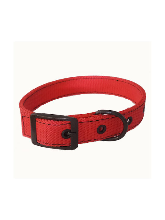 Funky Pet Dog Collar in Red color