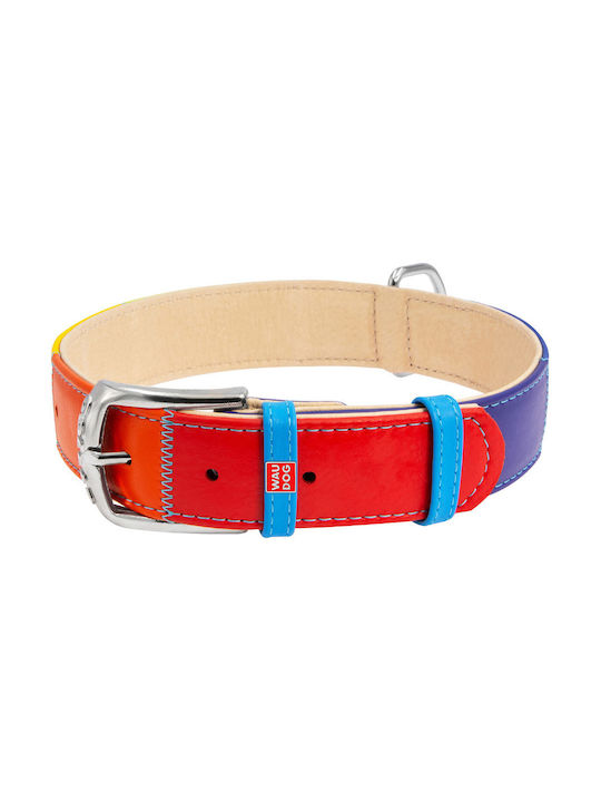 Collar Dog Collar Multicolour