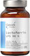 OstroVit Lactoferrin LFS 90% Besondere Nahrungsergänzungsmittel für die Stärkung des Immunsystems 60 Kapseln