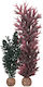 Oase Aquarium Ornament Artificial Plant