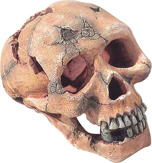 Aqua Della SKULL L Aquarium Decoration Skull 2236-104309