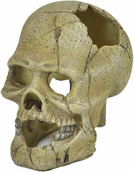 Happet Decorative Aquarium Skull