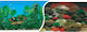 Happet Aquarium Dekoration Poster