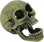 Blue Belle Pacific Aquarium Decoration Skull JS-047L