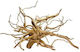 Strideways Aquarium Ornament Wooden