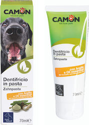 Record Pasta De Dinți Pentru Tartar Și Placă 70ml Record Pasta De Dinți Pentru Tartar Și Placă 70ml