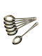 HOMie Set de Linguri Desert / Înghețată Metalice Argintiu 19cm 6buc