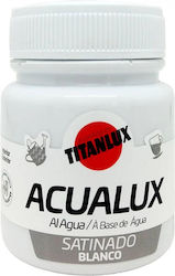 Aqualux Liquid Paint 100ml