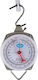 Analog Professional Hanging Scale with Weighing Capacity of 100kg and Division 100gr