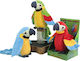 Plush Parrot Talks