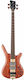 Warwick Electric Bass