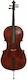 Gewa Germania Rom 7/8 Cello