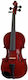 Thomann Violinset 4/4 Βιολί