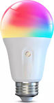 Govee Smart LED-Lampe 12W für Fassung E27 RGBW 1200lm Dimmbar