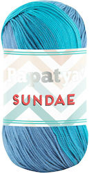 Papatya Synthetic Knitting Yarn 320m 100gr