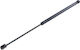 NTY Trunk Shock for Seat Toledo