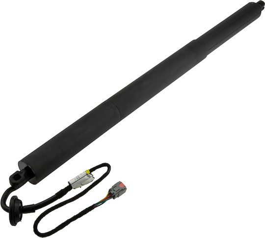 NTY Trunk Shock for Ford Edge