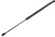 NTY Trunk Shock for Kia Venga