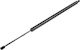 NTY Trunk Shock for Volkswagen Transporter / T5