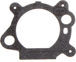 Briggs & Stratton Μεμβράνη Καρμπυρατέρ 310-01-0008